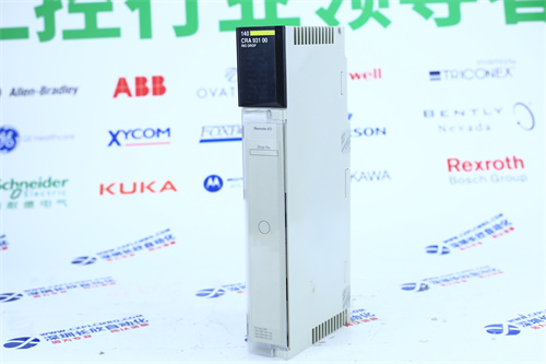 ABB	AO2000 LS25保护模块