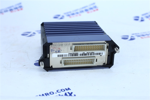 SCHNEIDER	BMXDDM16025扩展 I/O 模块