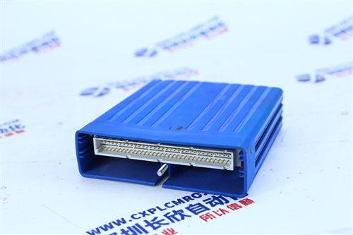 GE	IC690PRM010