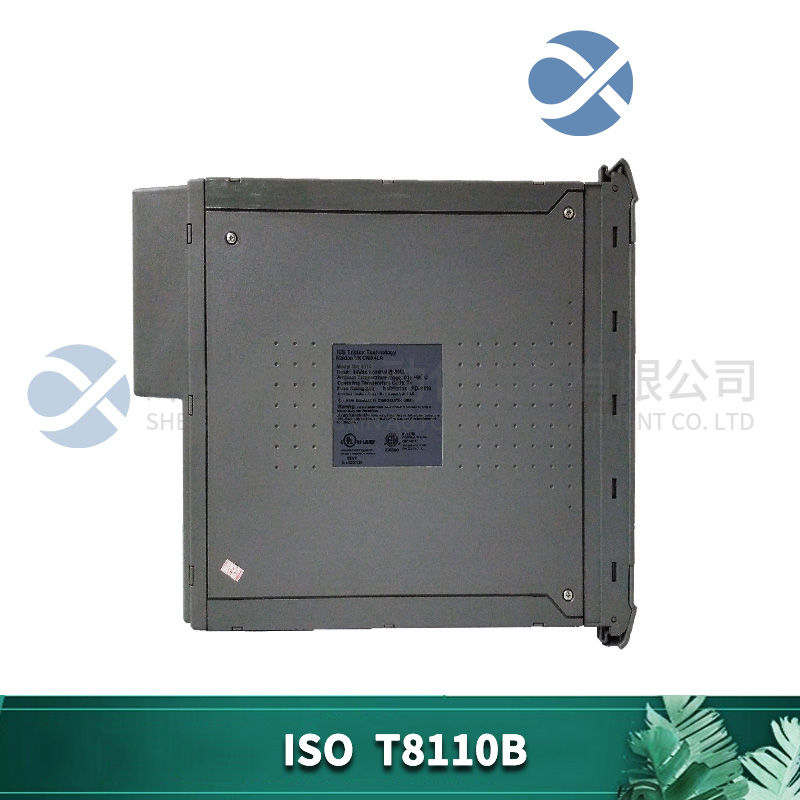 ISO T8110B (5).jpg