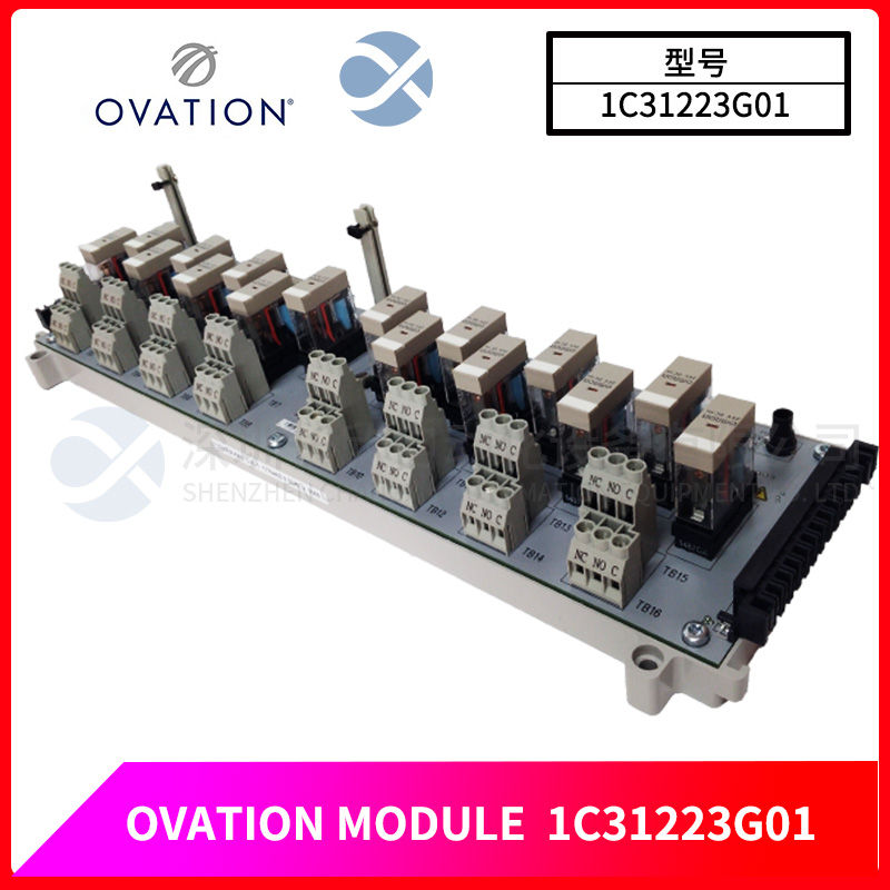 OVATION 1C31223G01 (3).jpg
