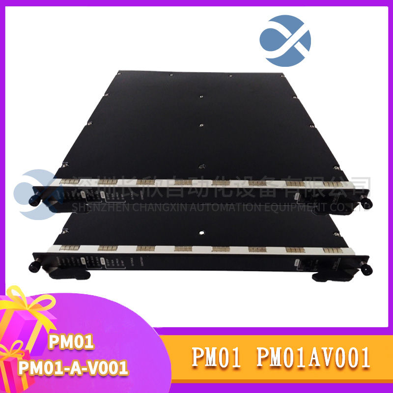 PM01 PM01-A-V001 (1).jpg