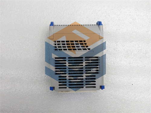 1C31194G01 (2).jpg