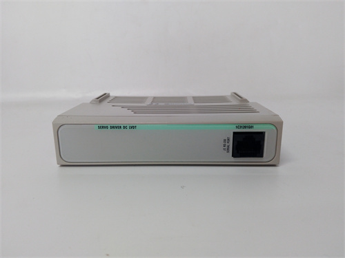 1C31201G01 (1).jpg