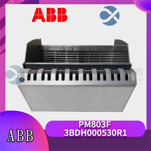 ABB PM803F 3BDH000530R1 (1).jpg
