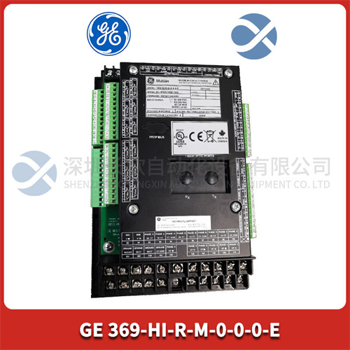 GE 369-HI-R-M-0-0-0-E (2).jpg