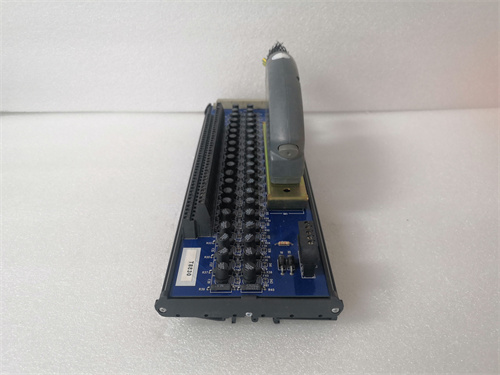 ICS T8830 (2).jpg
