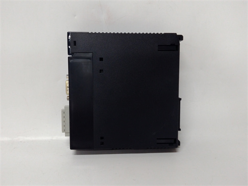 IC693DNM200 (3).jpg