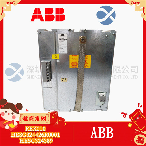 ABB REX010 HESG324426R0001 HESG324389 (1).jpg