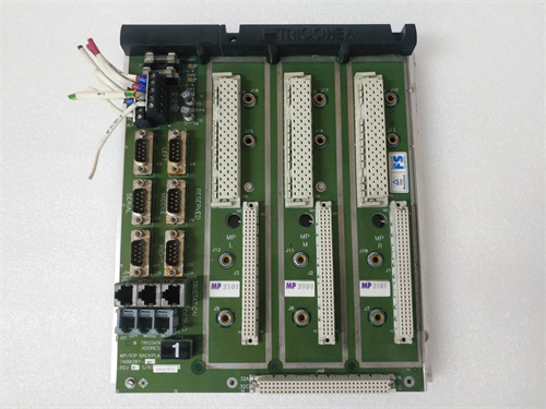 TRICONEX 2101 (1).jpg