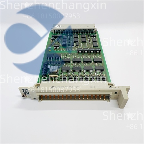 HIMA F3330 984333002 (3).jpg