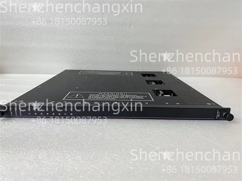 TRICONEX 3511 (6).jpg