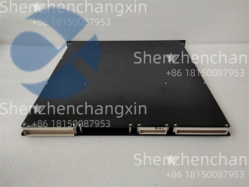 TRICONEX 3805E (2).jpg