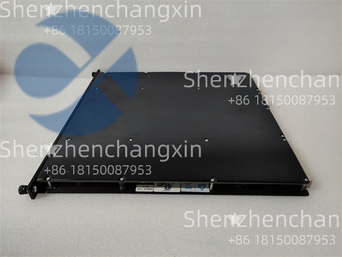 TRICONEX 3805E (3).jpg