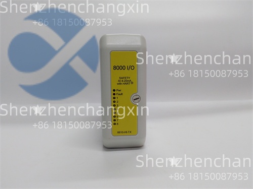 8810-HI-TX-01 (3).jpg