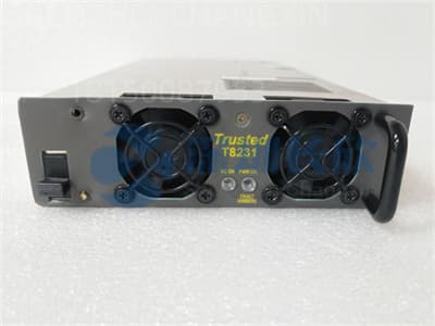 TRICONEX T8231 (2).jpg